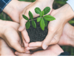 Volontariato ambientale