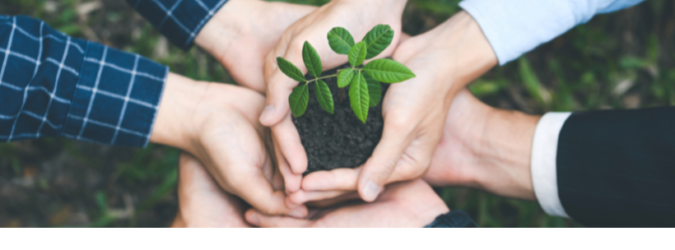 Volontariato ambientale