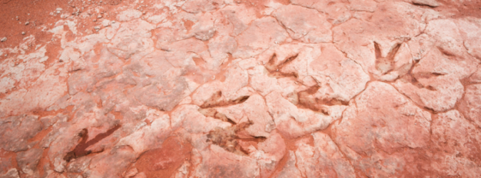 Impronte di dinosauri