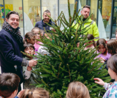 Un albero di Natale per ogni scuola
