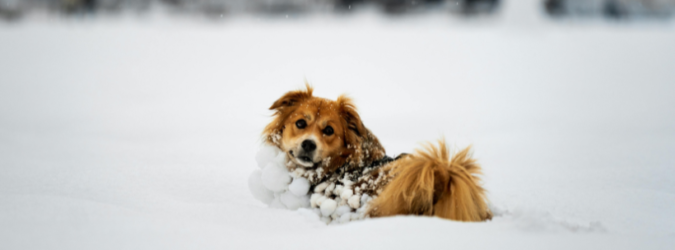 Previsioni meteo neve: cosa aspettarsi nelle Marche, con focus su Ascoli Piceno