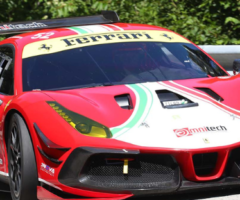 Coppa Paolino Teodori