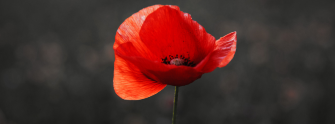 Giorno della Memoria