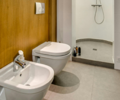 Rivoluzione del bidet negli Usa