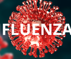 Influenza K