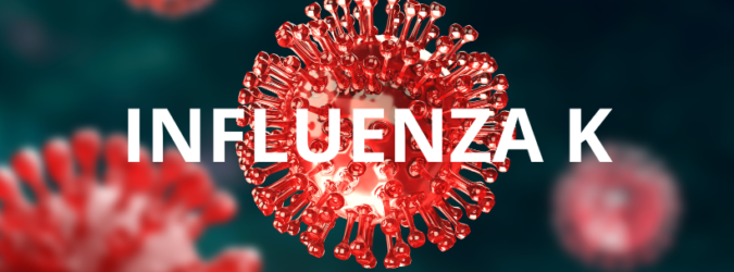 Influenza K