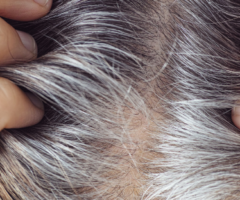 Capelli grigi