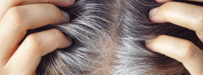 Capelli grigi
