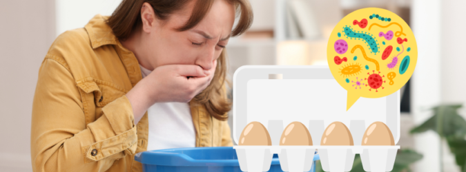 Rischio salmonella uova