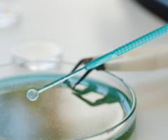 Super batterio di 5mila anni