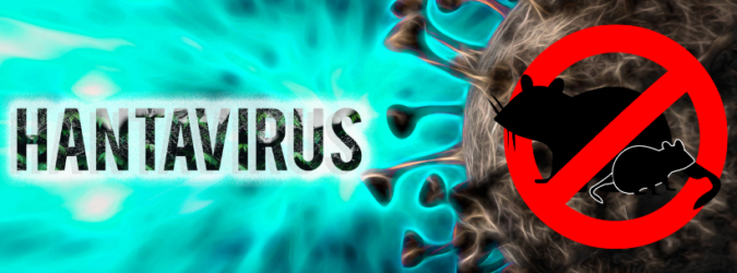 Hantavirus