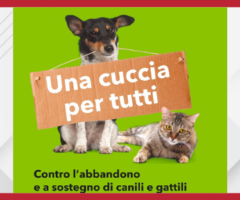 Una cuccia per tutti