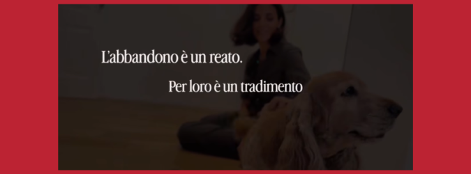 Abbandono degli animali, il nuovo spot della Polizia di Stato: «Se non ti porto, non parto»