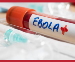 epidemia ebola