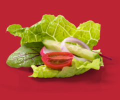 lattuga