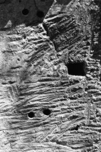 Grafemi Naturali Recanati, mostra Galleria Guzzini, arte contemporanea Marche, fotografia e pittura, mostra Cutini Giacomucci Losito Mugianesi