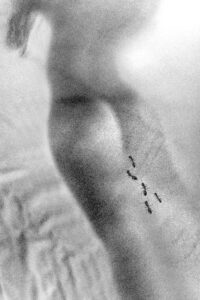 Grafemi Naturali Recanati, mostra Galleria Guzzini, arte contemporanea Marche, fotografia e pittura, mostra Cutini Giacomucci Losito Mugianesi
