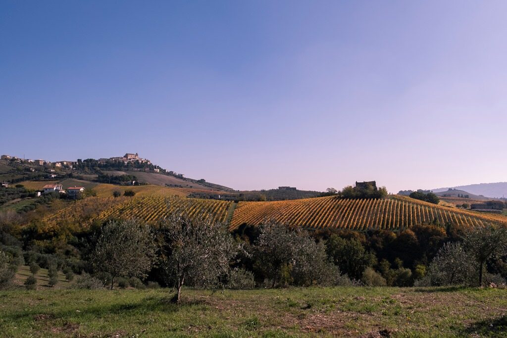 Monteprandone rappresenterà le Marche al Borgo dei Borghi 2027