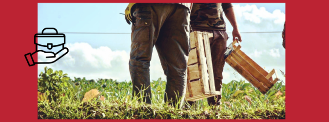 AMA Aquilone, servizio civile agricolo, Castel di Lama, AMA terra, agricoltura sociale, giovani, servizio civile universale, inclusione sociale, agricoltura biologica, opportunità Marche