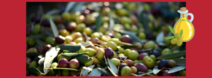 olio di oliva, olio extravergine, olio lampante, prezzi olio, ISMEA, olivicoltura, raccolta olive, resa olio, costi di produzione, agricoltura