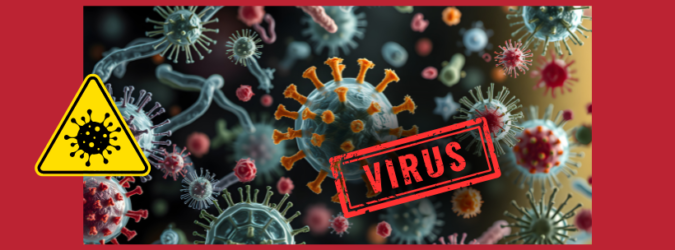 virus Shamonda, Shamonda, sintomi Shamonda, ECDC, Francia, SItI, One Health, Culicoides, malattie infettive, salute